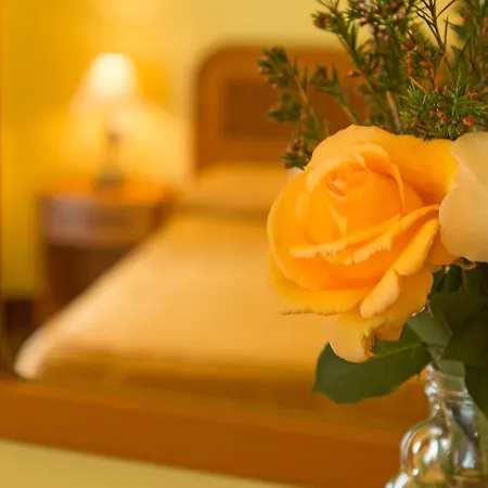 Hostel Calzada Romana Belmonte De Miranda