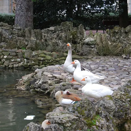 Hostel Calzada Romana *