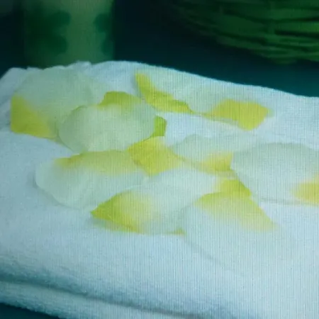 Hostel Calzada Romana *