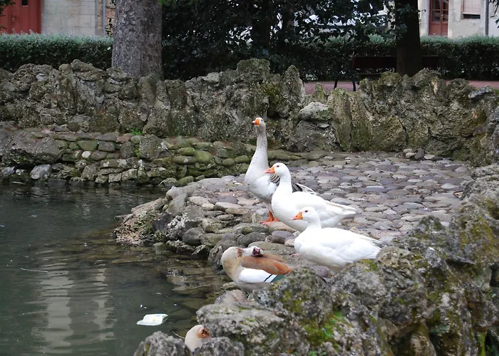 Auberge de jeunesse Calzada Romana *