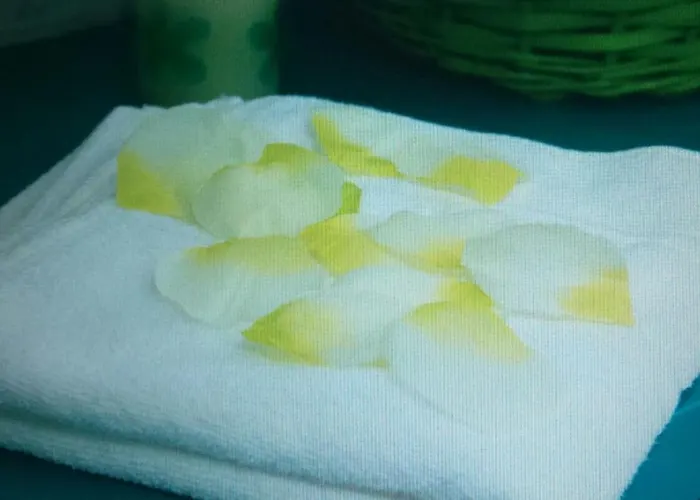 Auberge de jeunesse Calzada Romana *